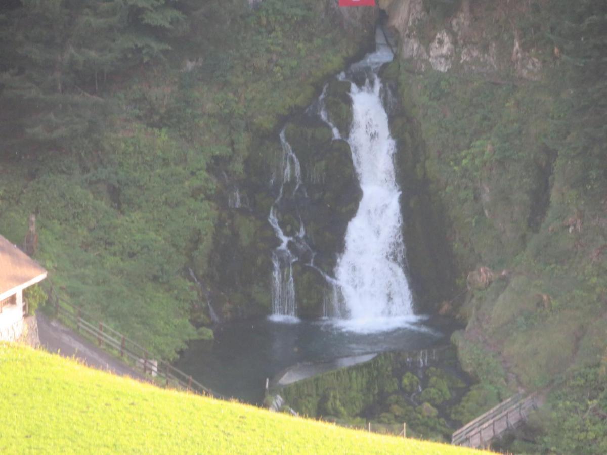 埃里卡小屋公寓 Jaun 外观 照片