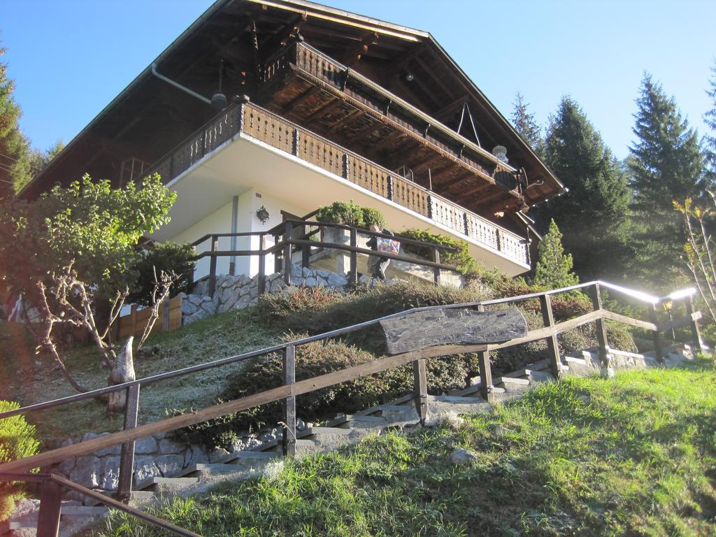 埃里卡小屋公寓 Jaun 外观 照片