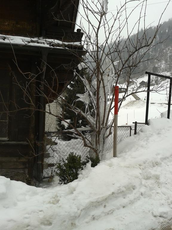 埃里卡小屋公寓 Jaun 外观 照片